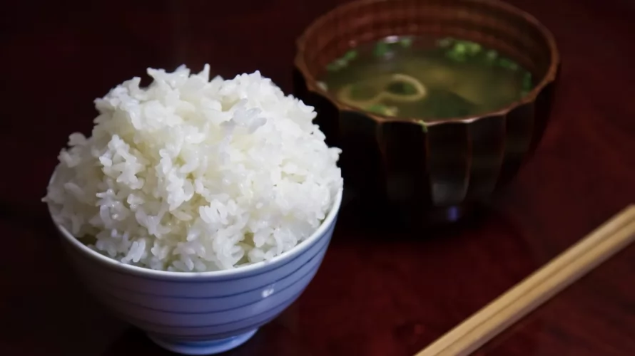 炊飯器はほんとうに必要な家電なのか？